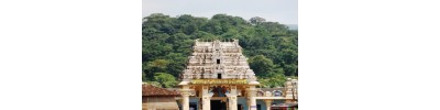 ஸ்ரீ சுப்பிரமண்யம் - கர்நாடகா